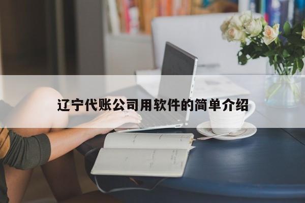 辽宁代账公司用软件的简单介绍