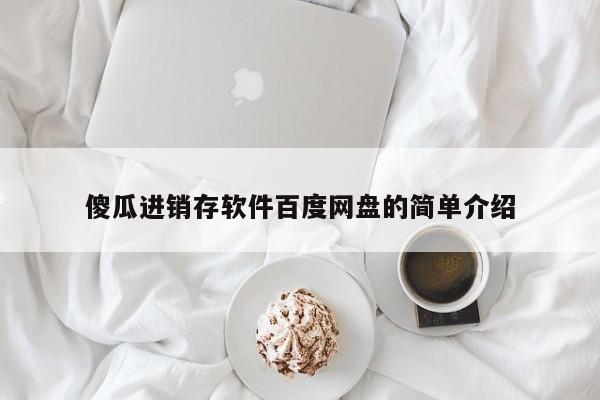 傻瓜进销存软件百度网盘的简单介绍