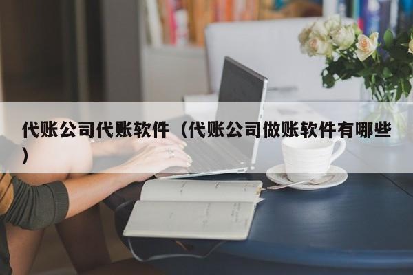 代账公司代账软件（代账公司做账软件有哪些）