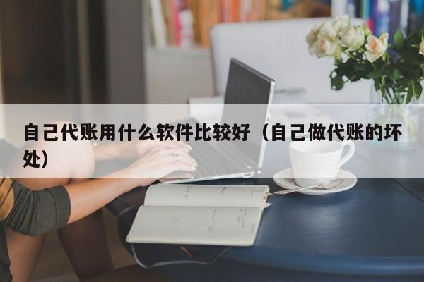 自己代账用什么软件比较好（自己做代账的坏处）