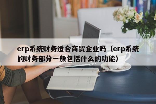 erp系统财务适合商贸企业吗（erp系统的财务部分一般包括什么的功能）