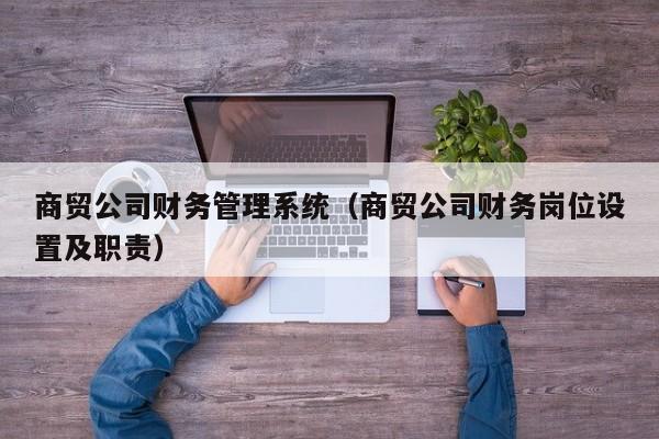 商贸公司财务管理系统（商贸公司财务岗位设置及职责）