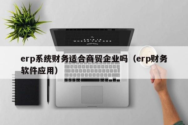 erp系统财务适合商贸企业吗（erp财务软件应用）