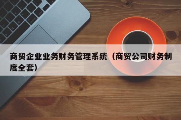 商贸企业业务财务管理系统（商贸公司财务制度全套）