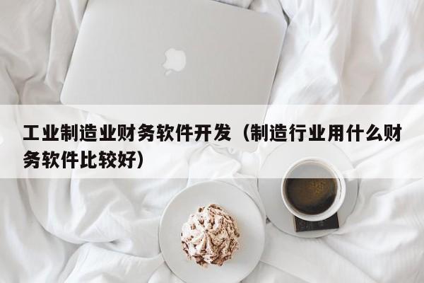 工业制造业财务软件开发（制造行业用什么财务软件比较好）