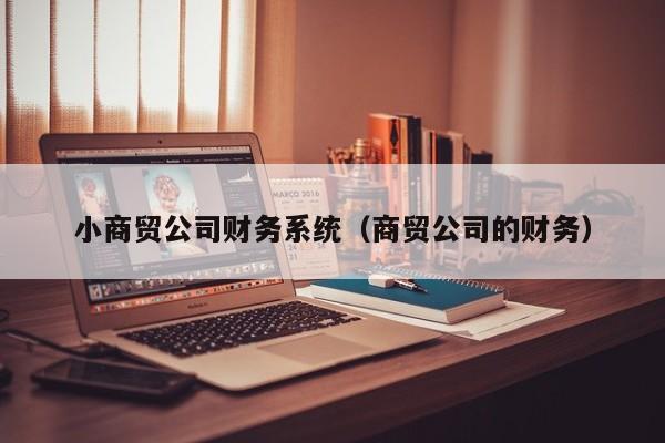 小商贸公司财务系统（商贸公司的财务）