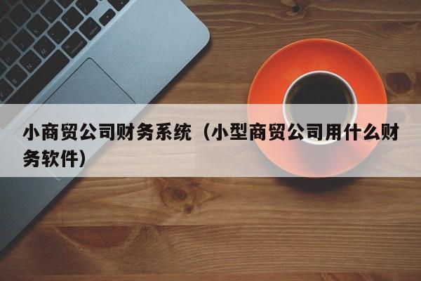 小商贸公司财务系统（小型商贸公司用什么财务软件）