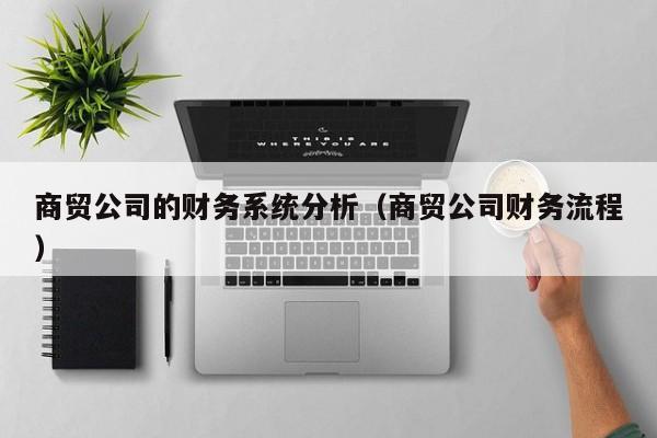 商贸公司的财务系统分析（商贸公司财务流程）