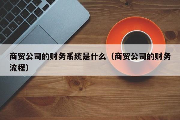 商贸公司的财务系统是什么（商贸公司的财务流程）