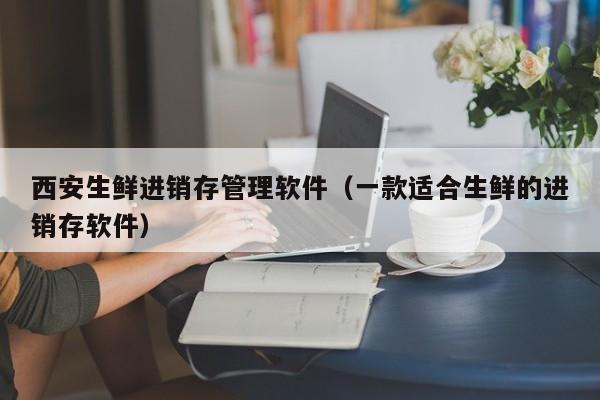 西安生鲜进销存管理软件（一款适合生鲜的进销存软件）