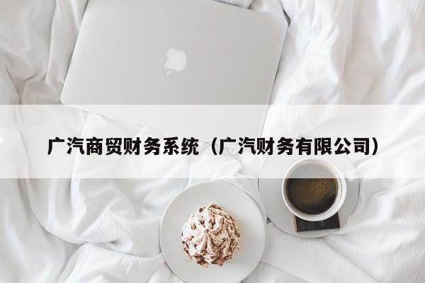 广汽商贸财务系统（广汽财务有限公司）