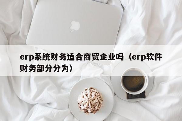 erp系统财务适合商贸企业吗（erp软件财务部分分为）