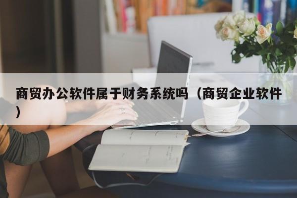 商贸办公软件属于财务系统吗（商贸企业软件）