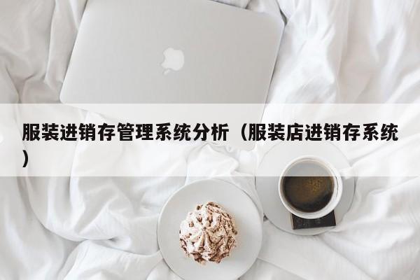 服装进销存管理系统分析（服装店进销存系统）